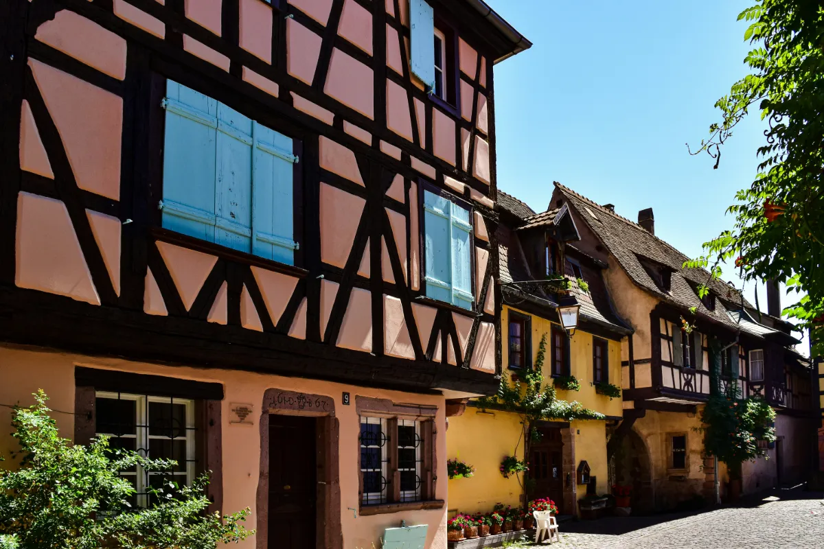 Alsace vinresa - 7 dagar, bild 5