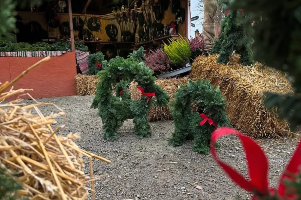 Wapnö Julmarknad - 1 dag, bild 3