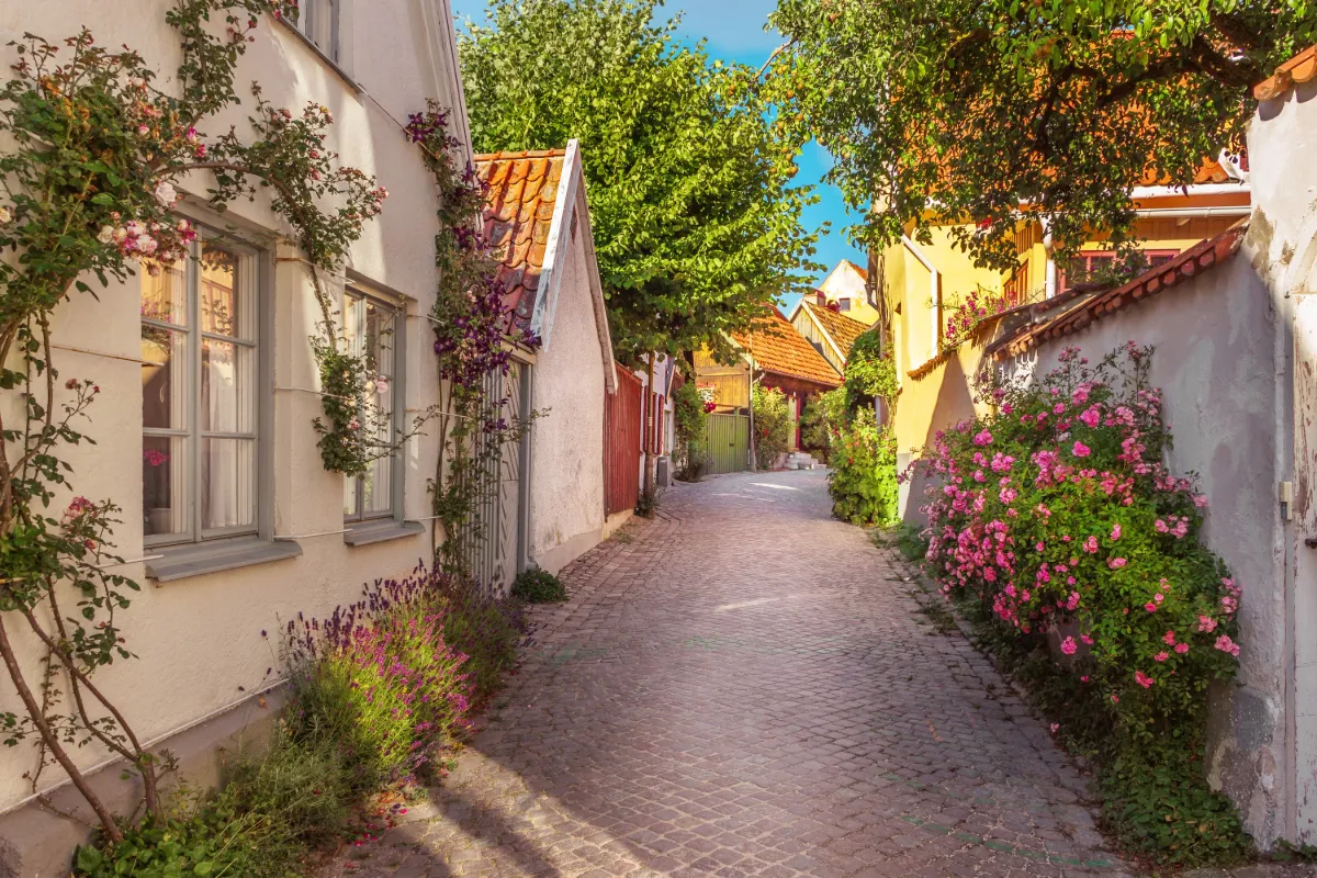 Gotland - 4-5 dagar, bild 5