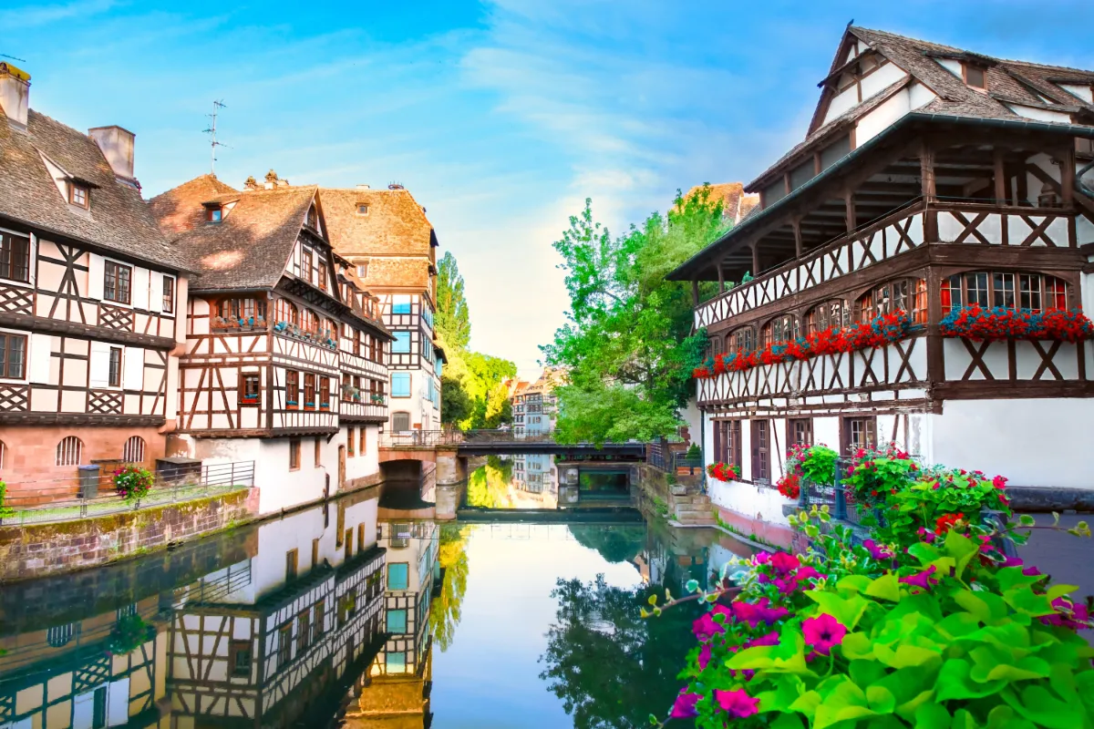Alsace vinresa - 7 dagar, bild 2