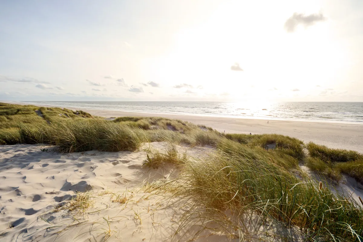 Skagen - 3 dagar, bild 3