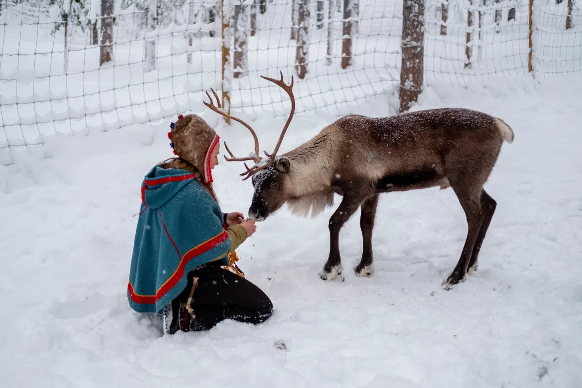 Jokkmokk - 6-7 dagar, bild 5