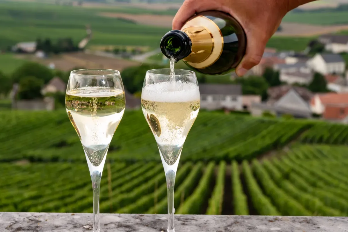 Champagne Vinresa - 7 dagar, bild 5