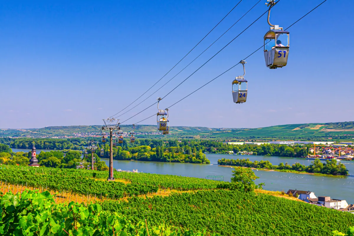 Rhendalen Rüdesheim - 7 dagar, bild 3