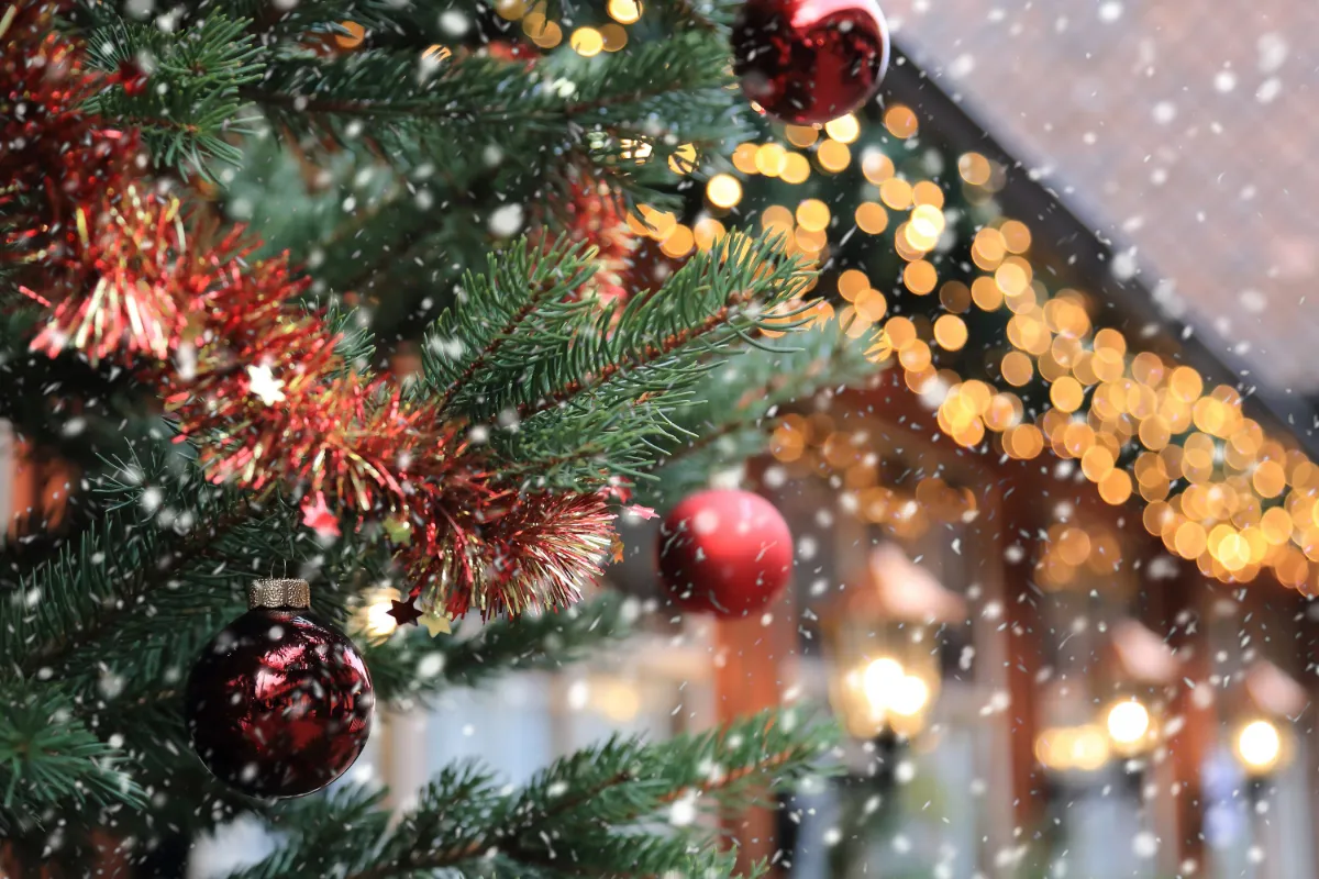 Rüdesheim Julmarknad - 5 dagar, bild 2