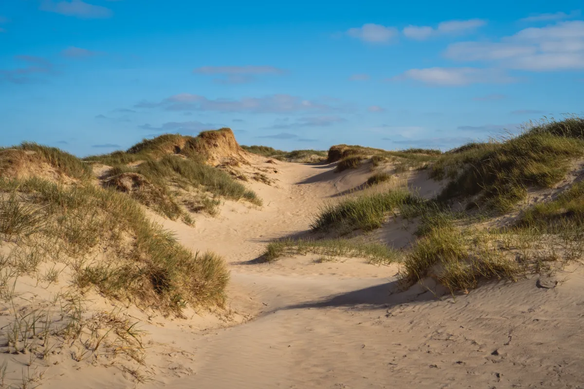 Husum med Sylt - 4 dagar, bild 3