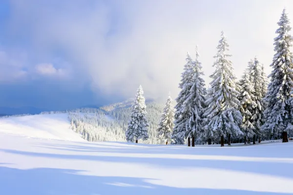 Jul i Norge Vrådal - 4 dagar