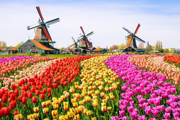 Holland - 5-6 dagar