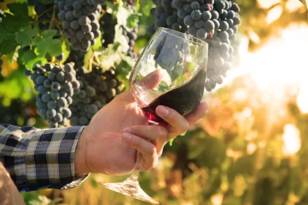 Italien vinresa
