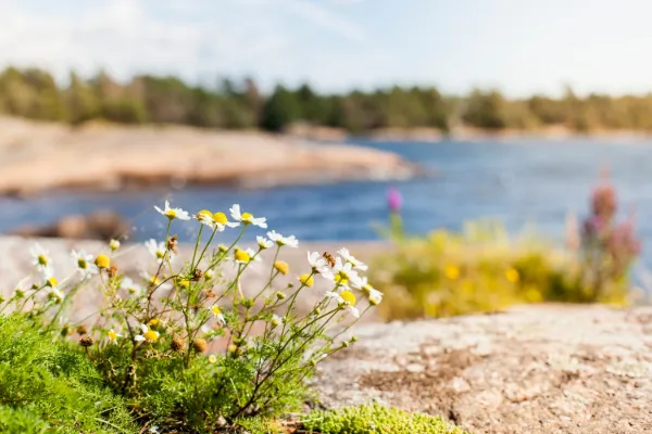 Lilla Sverigesresan - 4 dagar