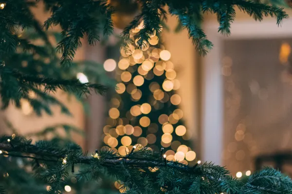 Julstämning i Skaraborg – 1 dag