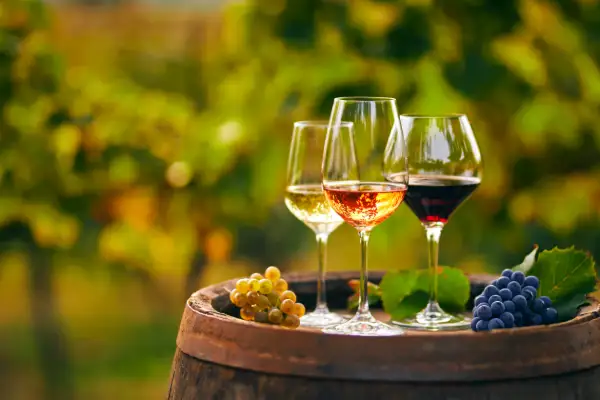 Dagstur Bohuslän Mat & Vin - 1 dag