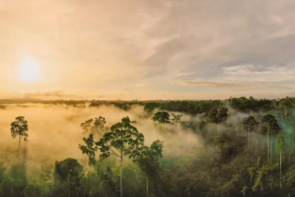 Malaysia och Borneo - 13 dagar