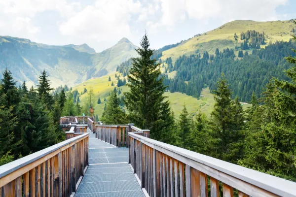 Saalbach - 6 dagar