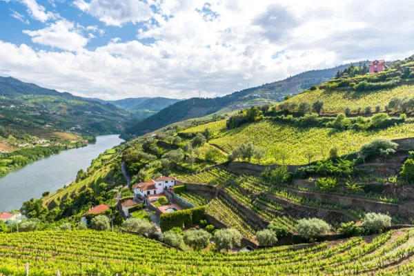 Portugal vinresa - 6 dagar