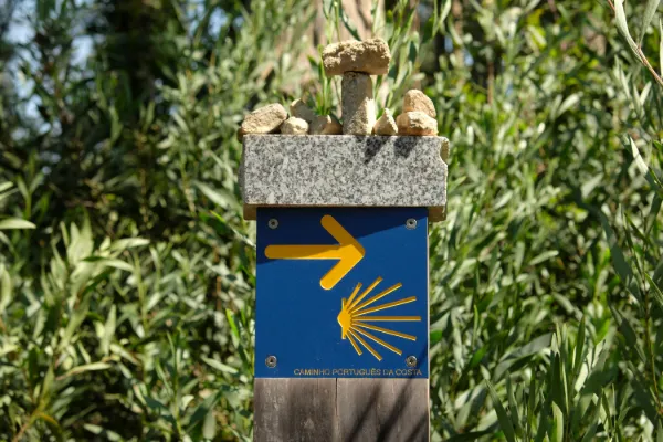 Vandring Portugal Pilgrimsleden - 8 dagar