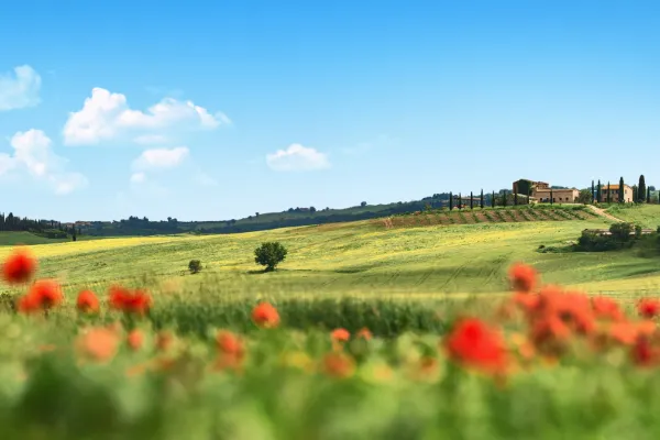 Toscana - 8 dagar