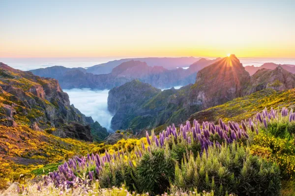 Vandring Madeira - 8 dagar