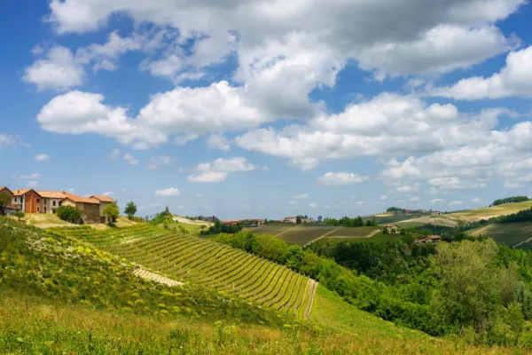 Vinvandring Piemonte med Barolo - 5 dagar