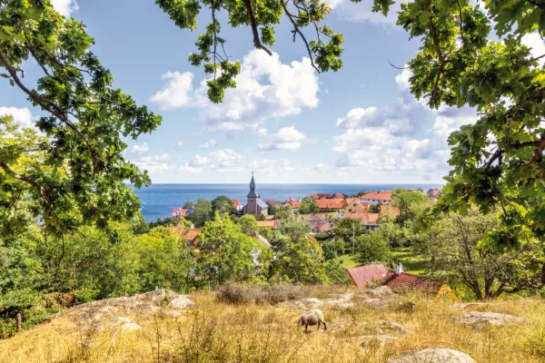 Kryssning Bornholm Gotland - 4 dagar