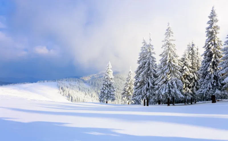 Jul i Norge Vrådal