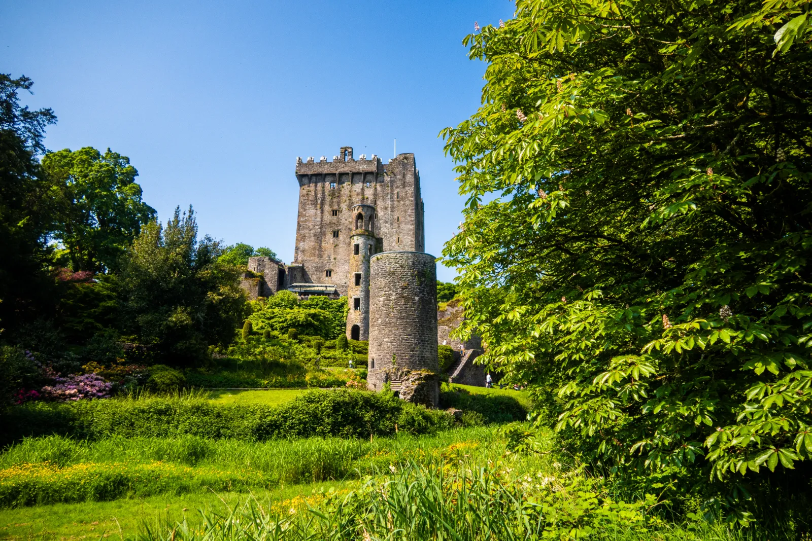Blarney Castle omgiven av grönska på Irland