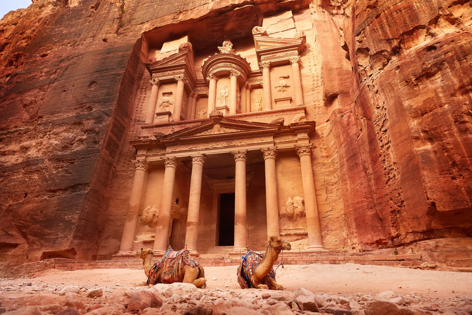 Klippstaden Petra i Jordanien med kameler framför Al-Khazneh-templet