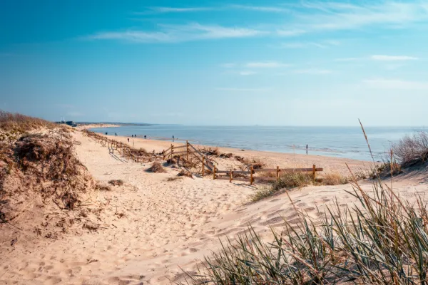 Sandstrand med böljande sanddyner, havsutsikt och strandgräs längs Sveriges kust under klarblå himmel.