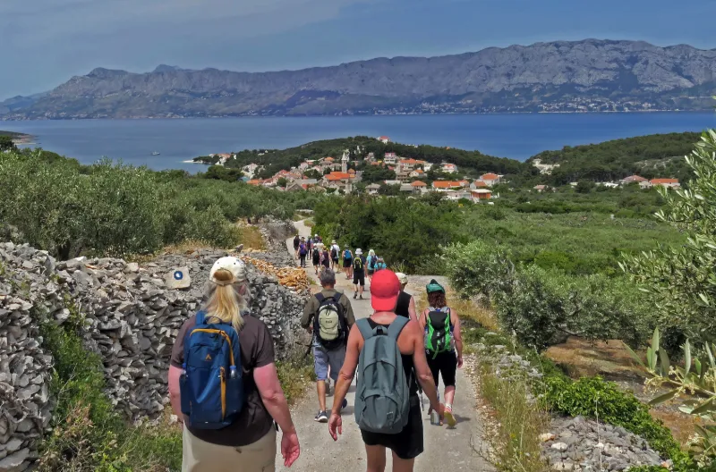 Vandringsgrupp på Kroatienresa med utsikt över havet