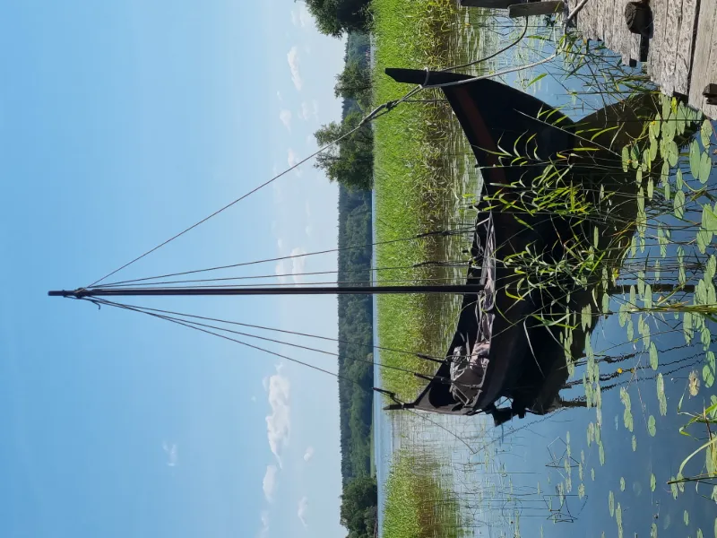 Traditionell träbåt i stilla vasslandskap vid sjö