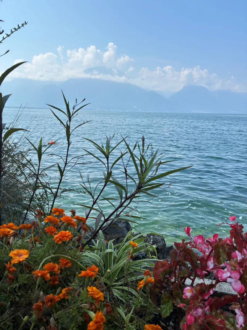 Blomstrande strandpromenad vid Genèvesjön med berg i bakgrunden
