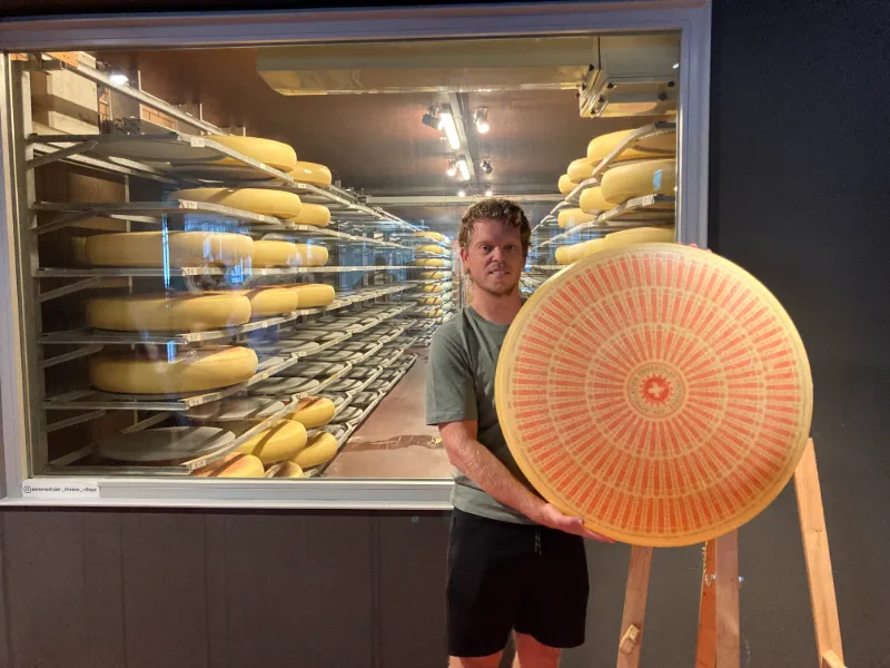 Traditionell ostproduktion i Schweiz med stora lagrade ostar