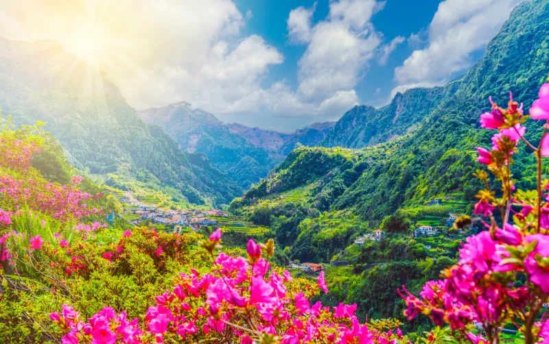 Blomstrende dal med grønne fjell på Madeira.