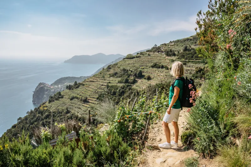 Vandrare på stig genom terrasserade vinodlingar med utsikt över Liguriska havet i Cinque Terre.