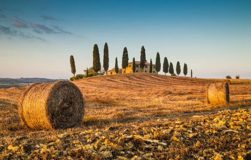 Böljande landskap med cypresser, vinfält och lantgårdar i Toscana, Italien.