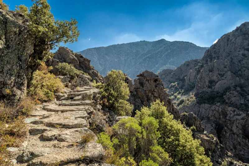 Hiking in Corsica