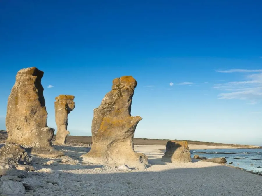 Raukar på Gotland