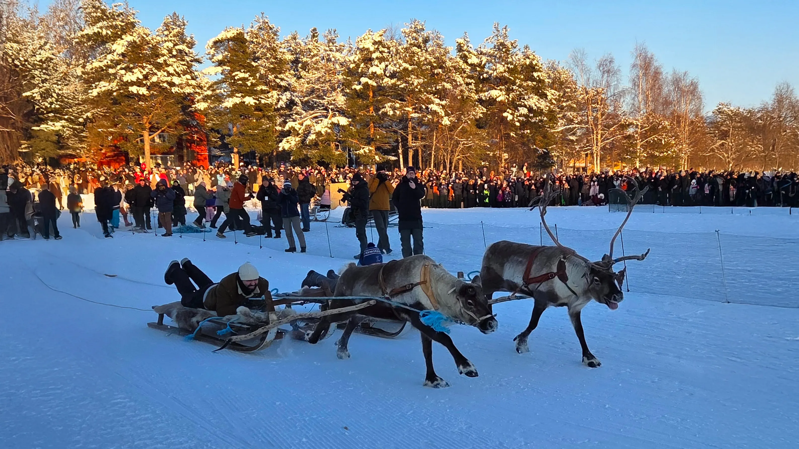 Till Jokkmokks vintermarknad som ensamresenär