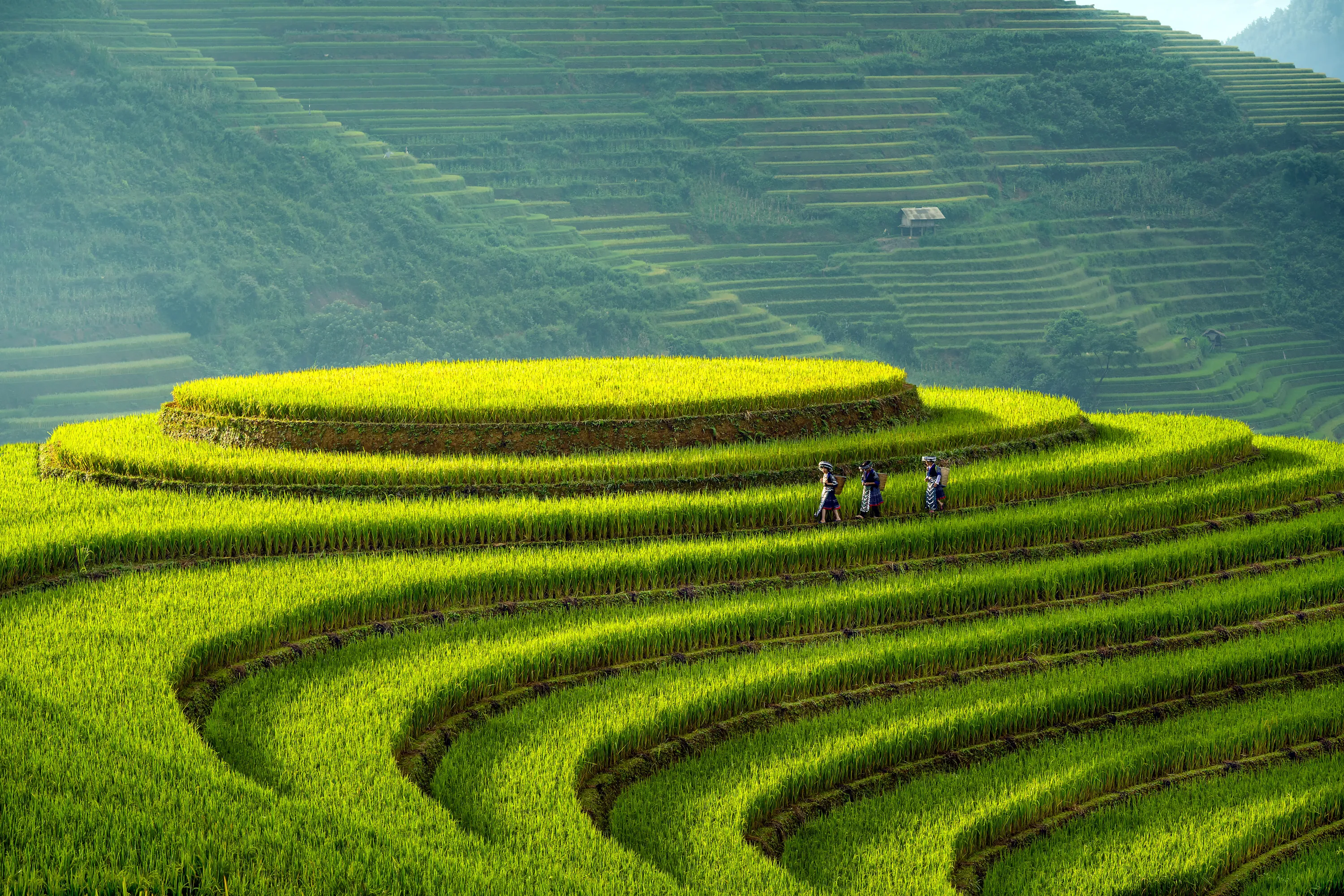 Visum och Inresekrav Vietnam