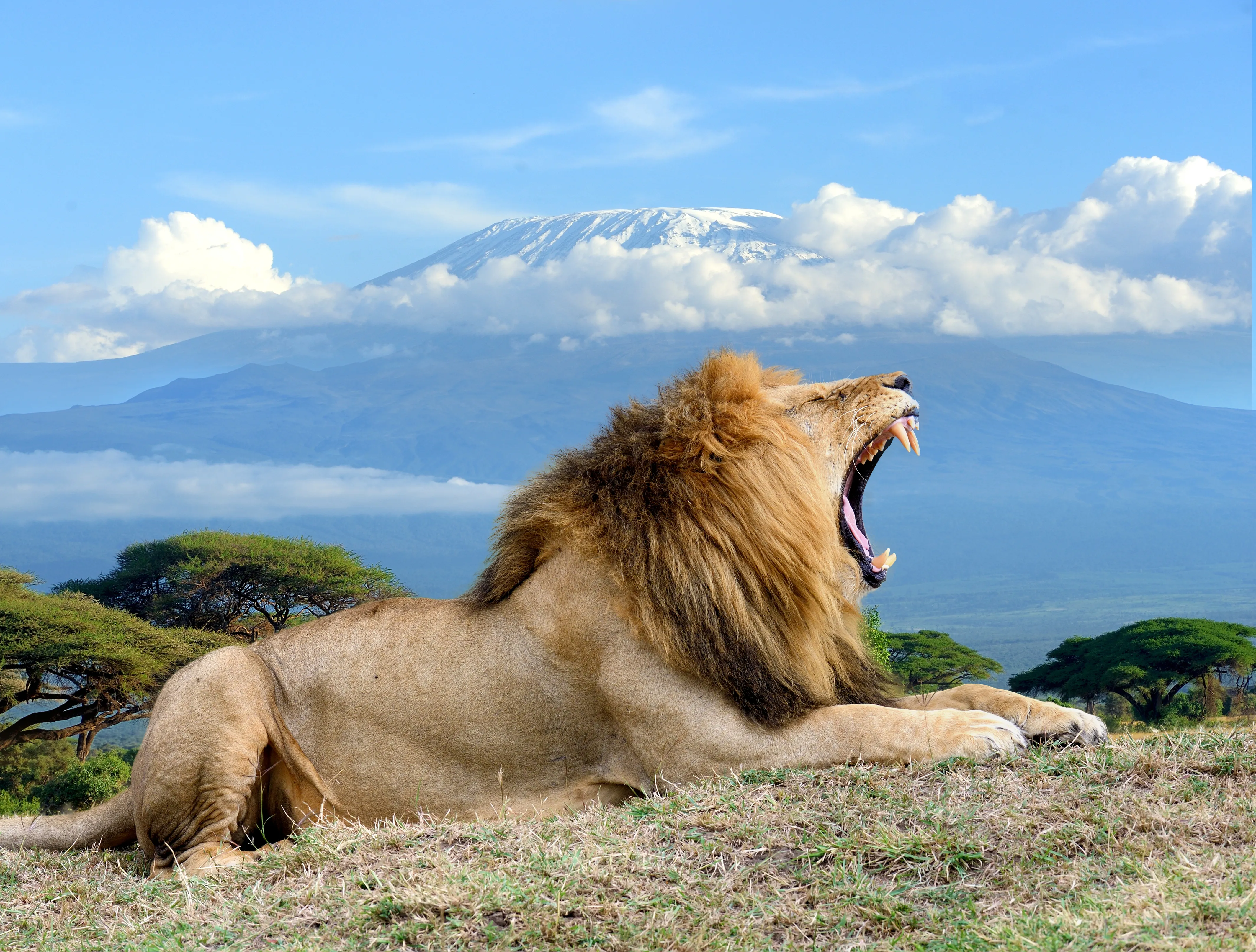 Kenya
