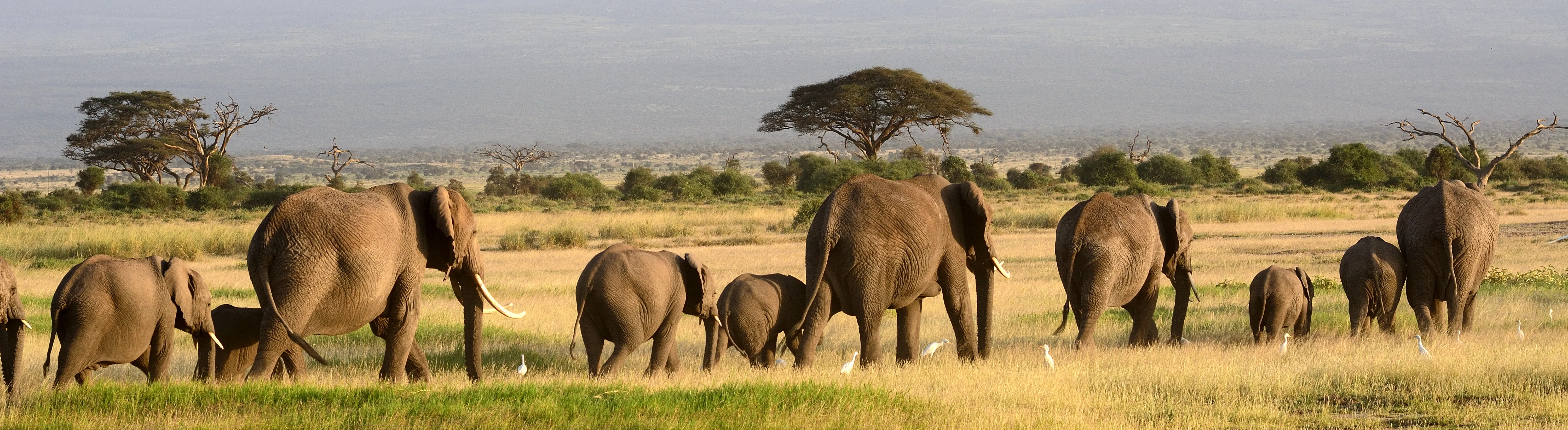 Kenya