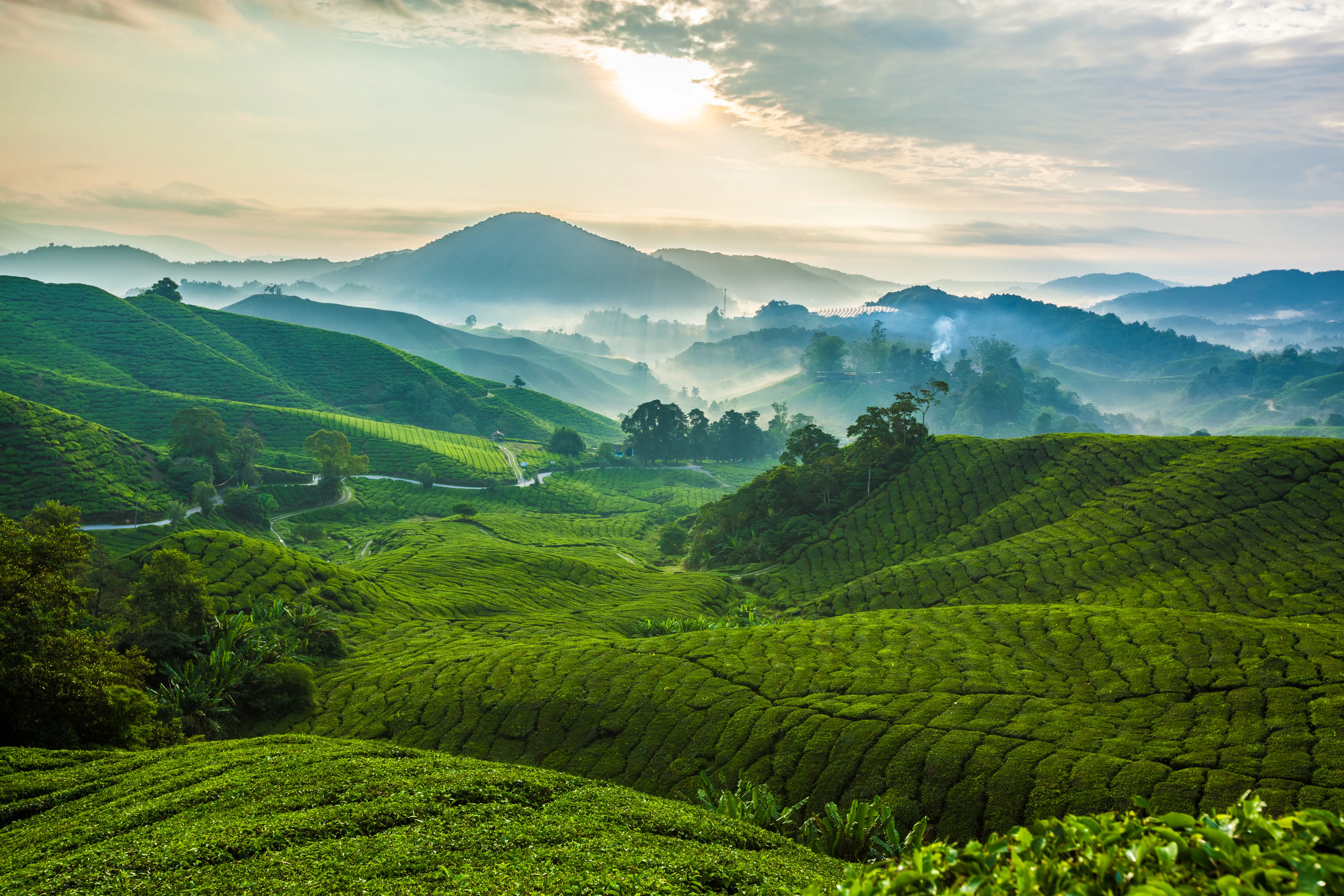 Långtidssemester Malaysia och Borneo