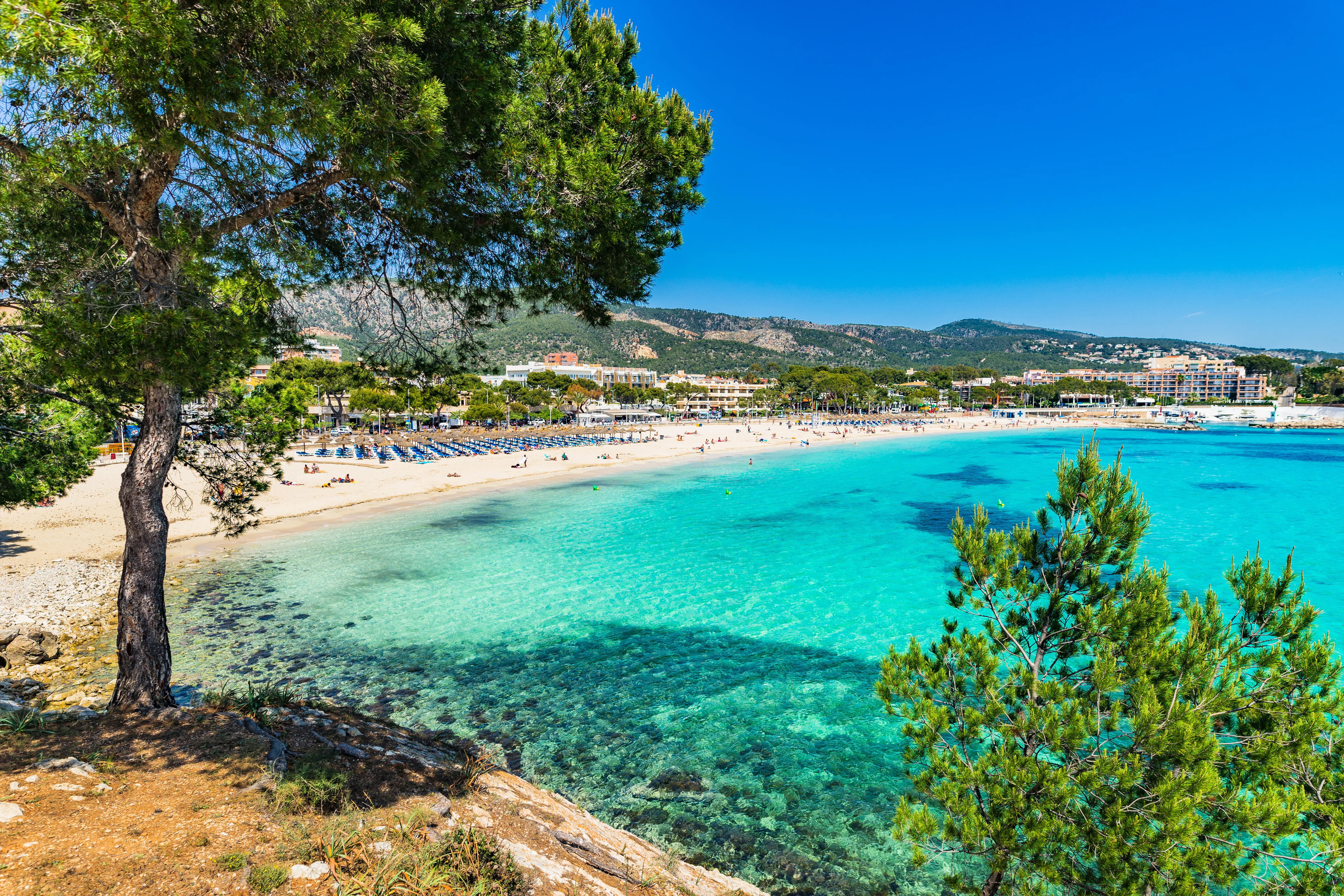 Träningsresa Mallorca