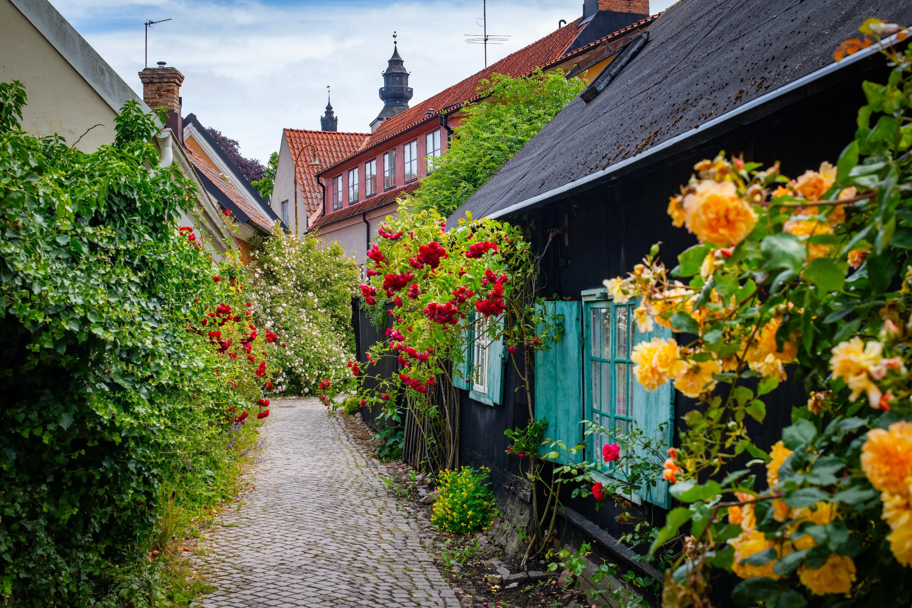 Gotland