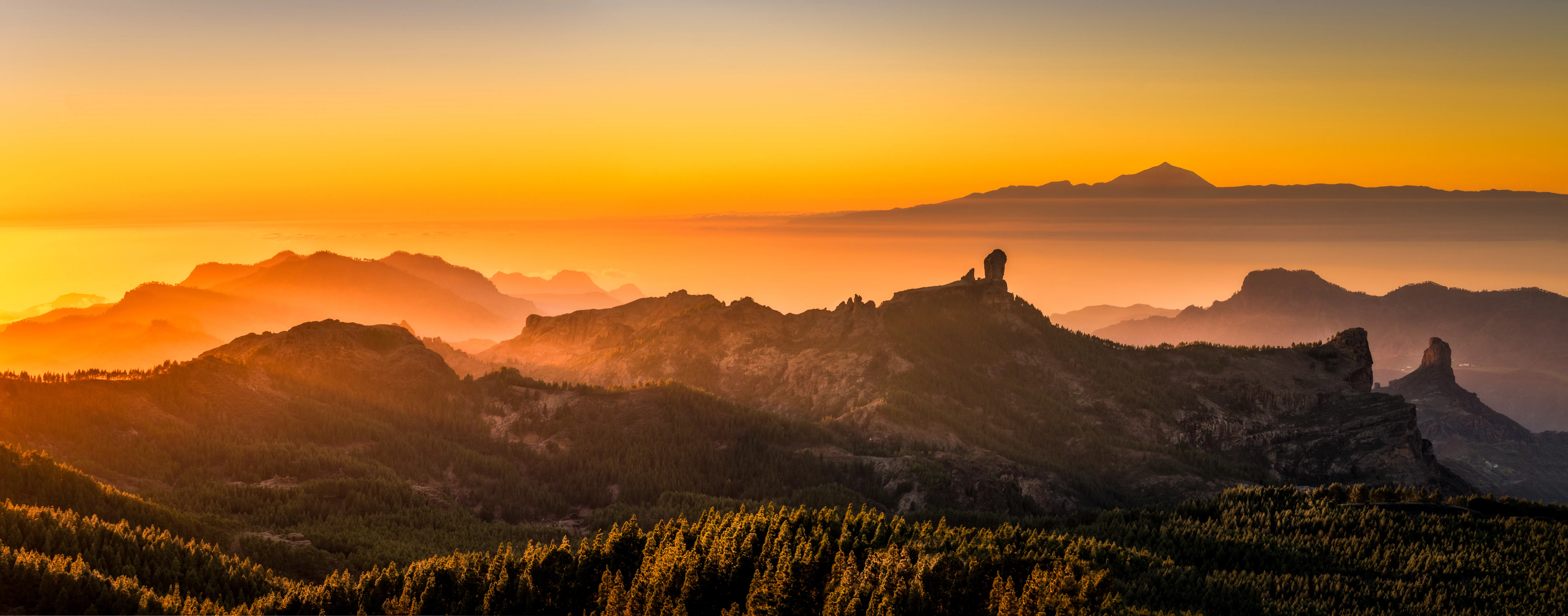 Träningsresa Gran Canaria