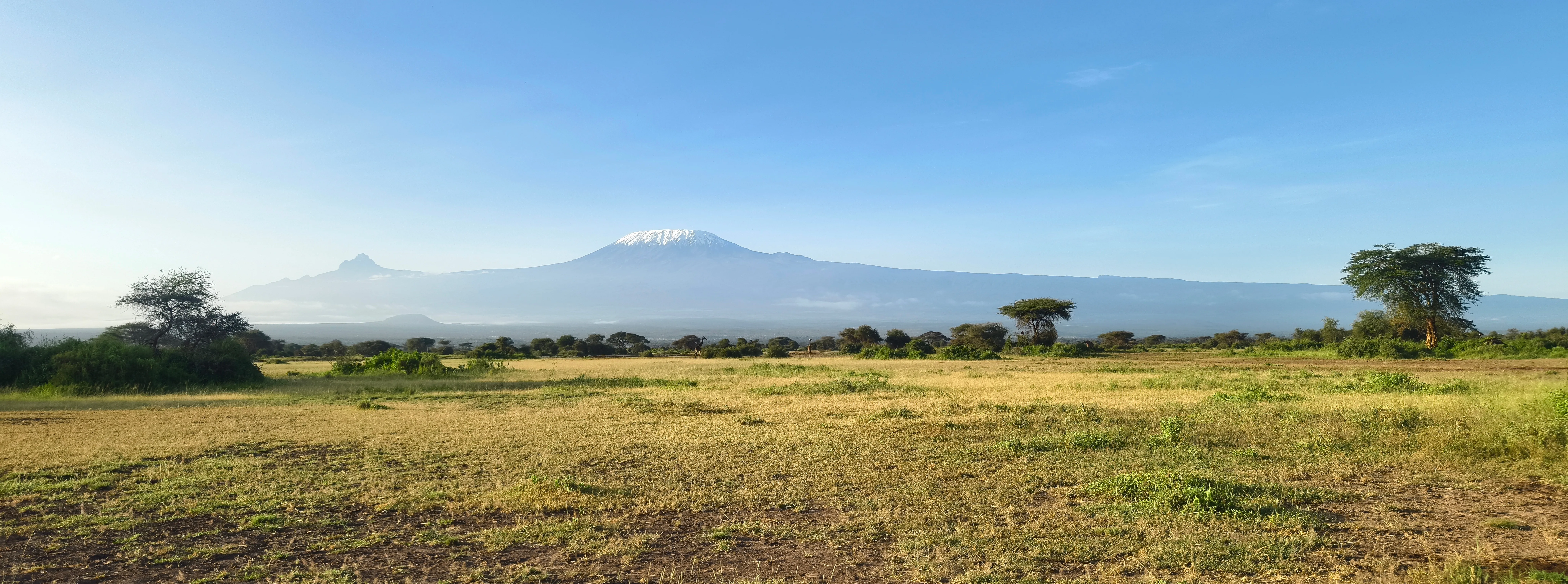 Kilimanjaro