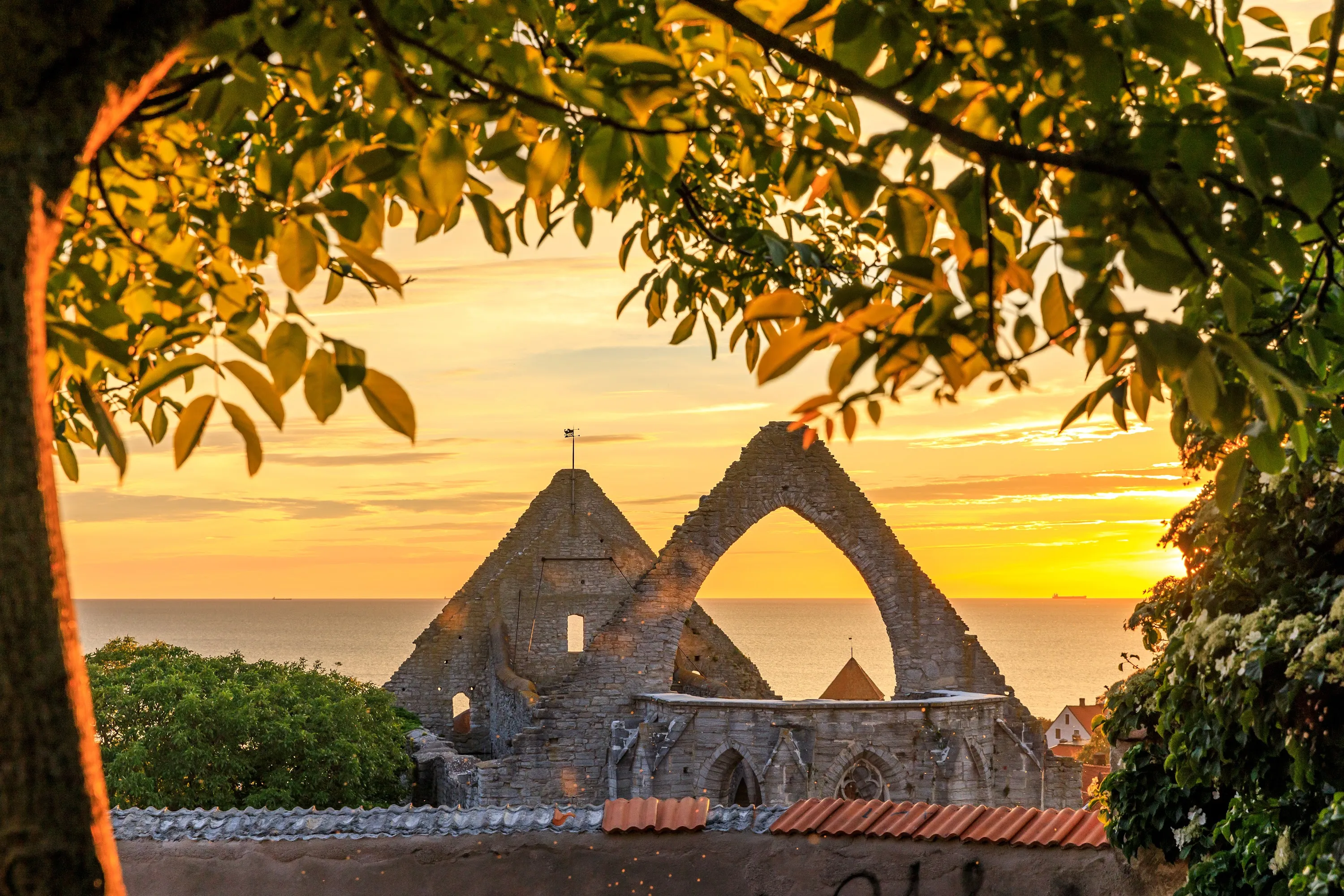 Gotland
