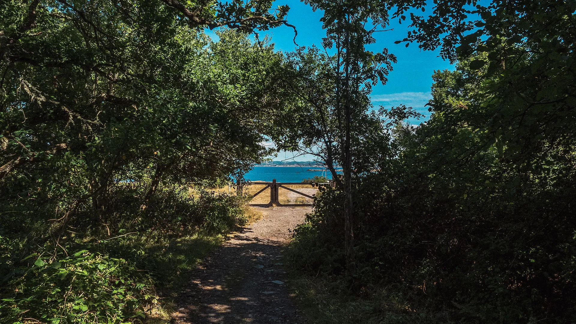 Aktiva dagar vid havet