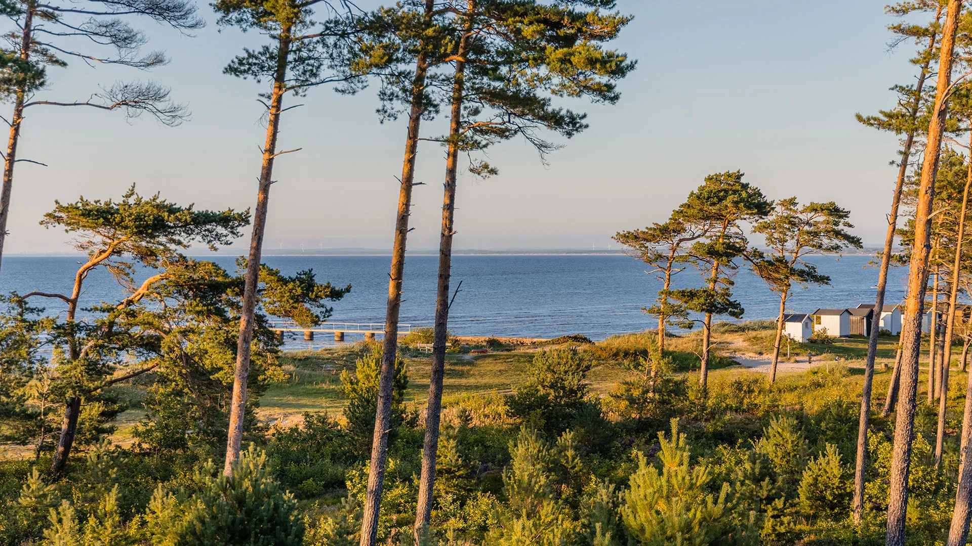 Torekov & Bjärehalvön 