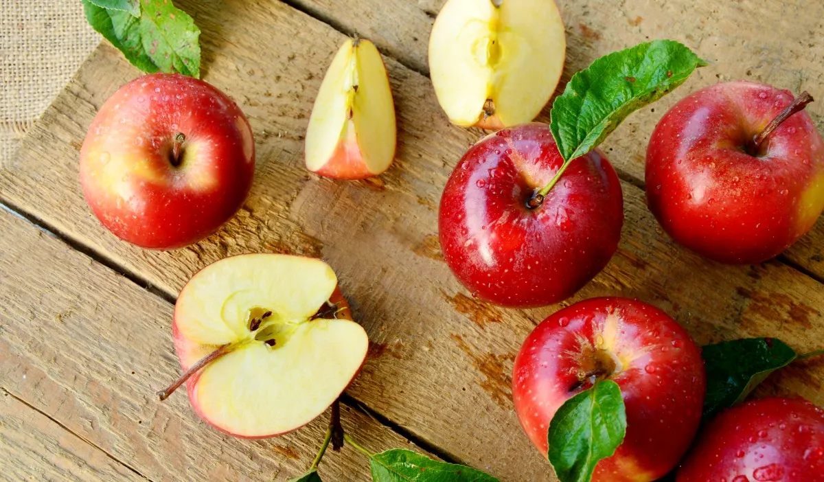 Kiviks äppelmarknad